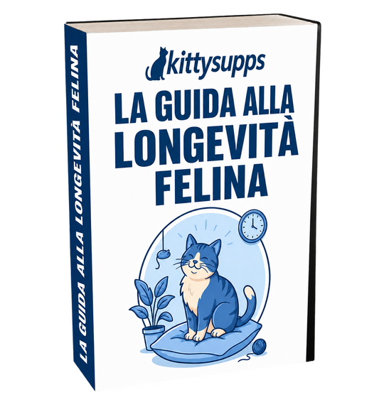 E-Book