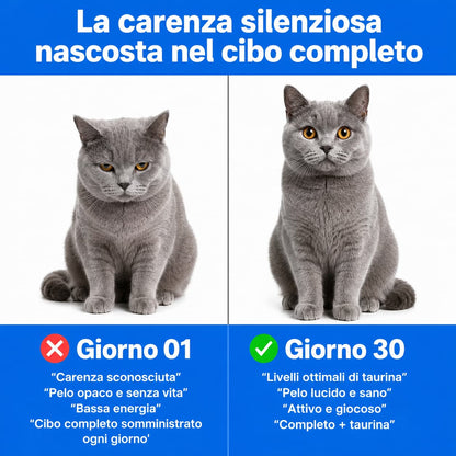 PuroGatto™ Taurina